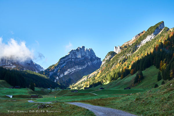 Appenzeller-Sämtis (Alpgenossenschaft) mit Blick Richtung Alpstein - #3435