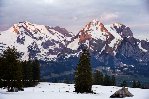 Säntis - Schafberg