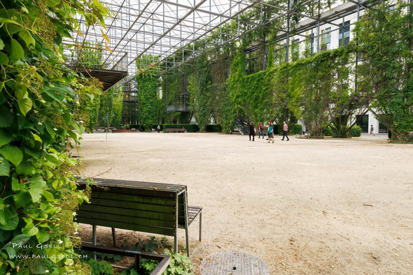 ZH-Oerlikon MFO-Park - #5198