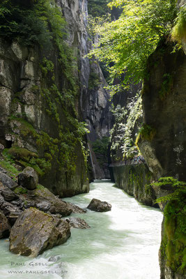 Aareschlucht Meiringen - #4562