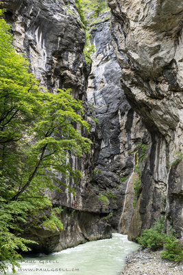 Aareschlucht Meiringen - #4566