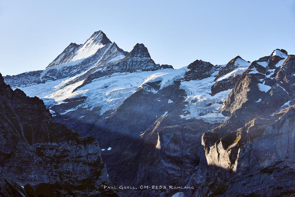 Blick auf Schreckhorn