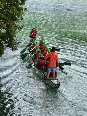 Auf der Aare