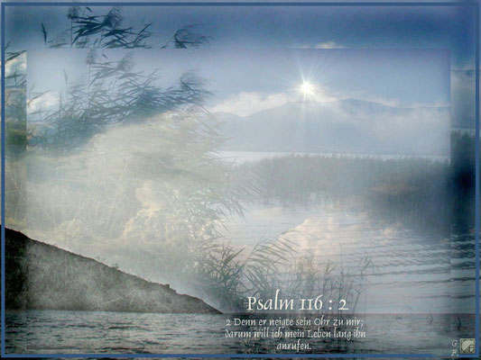psalm116