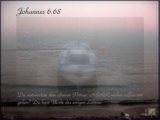 johannes6-68