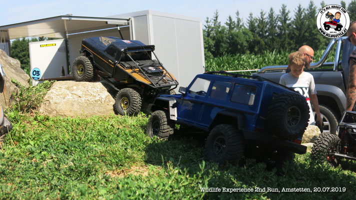 Wildlife Experience Amstetten 2019