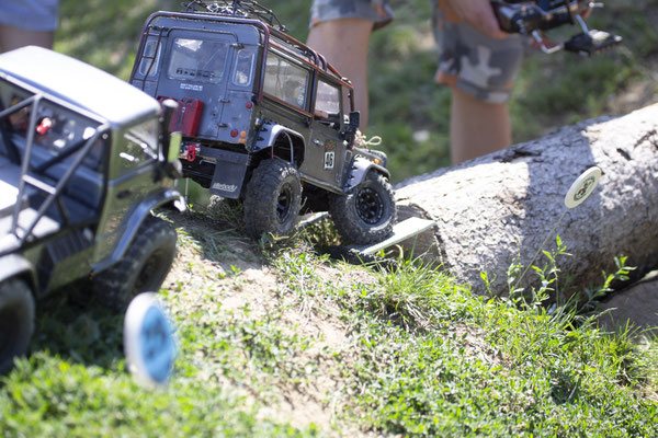 Wildlife Experience Amstetten 2019