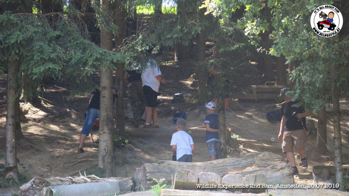 Wildlife Experience Amstetten 2019