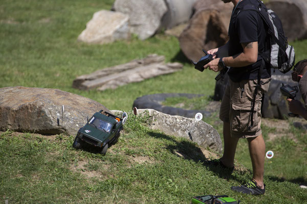 Wildlife Experience Amstetten 2019