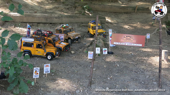 Wildlife Experience Amstetten 2019