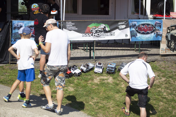 Wildlife Experience Amstetten 2019