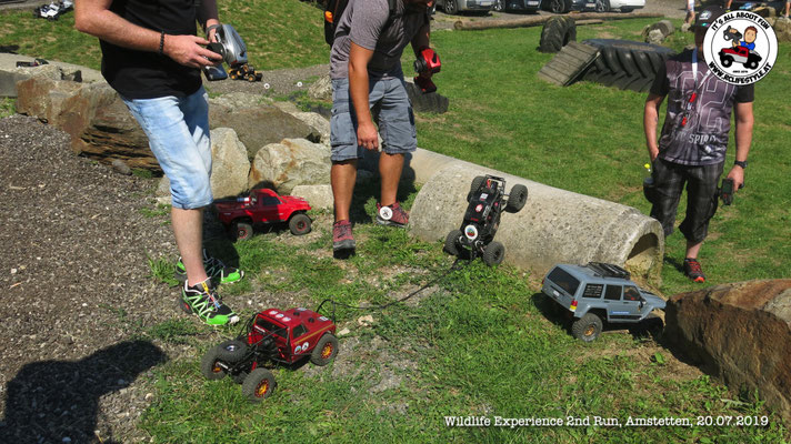 Wildlife Experience Amstetten 2019