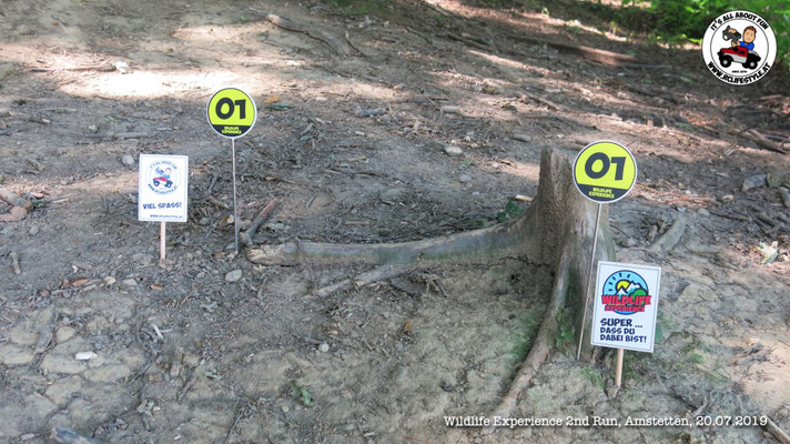 Wildlife Experience Amstetten 2019