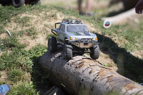 Wildlife Experience Amstetten 2019