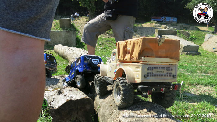 Wildlife Experience Amstetten 2019