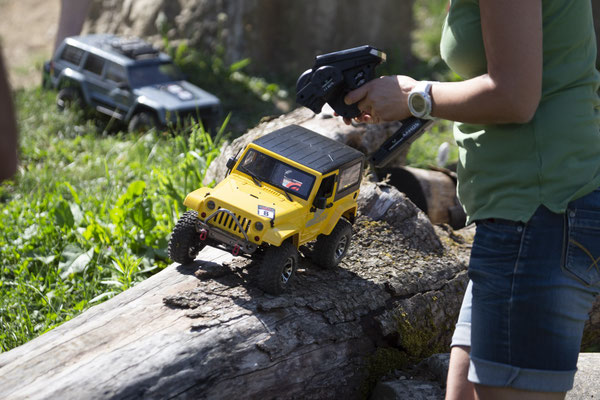 Wildlife Experience Amstetten 2019