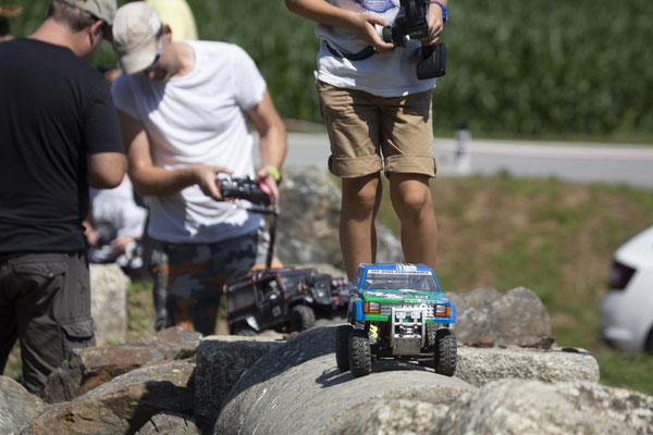 Wildlife Experience Amstetten 2019