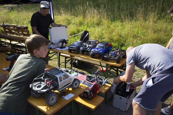 Wildlife Experience Amstetten 2019