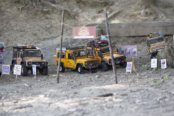 Wildlife Experience Amstetten 2019