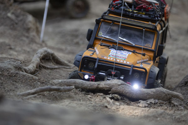 Wildlife Experience Amstetten 2019