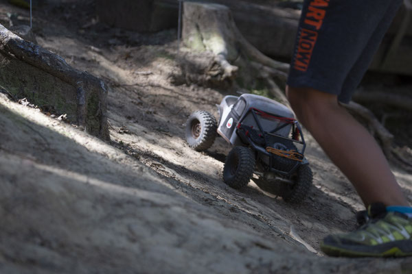 Wildlife Experience Amstetten 2019