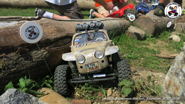 Wildlife Experience Amstetten 2019