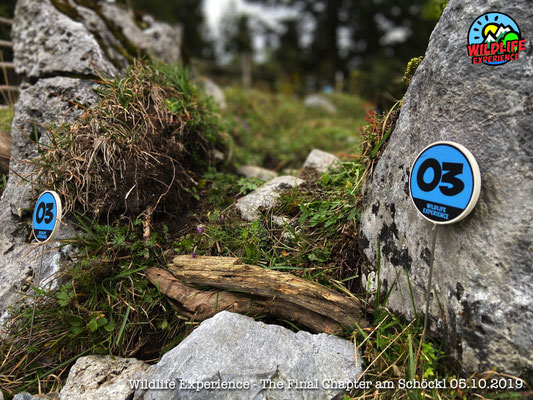 Wildlife Experience - Schöckl, The Final Chapter powered by RC4WD