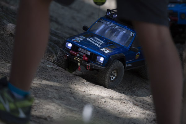 Wildlife Experience Amstetten 2019