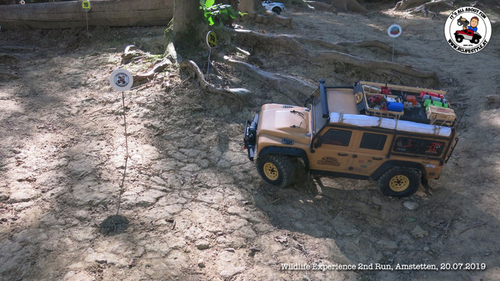 Wildlife Experience Amstetten 2019