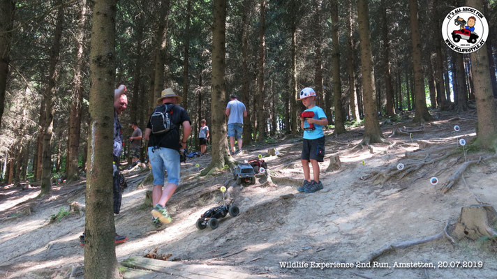 Wildlife Experience Amstetten 2019