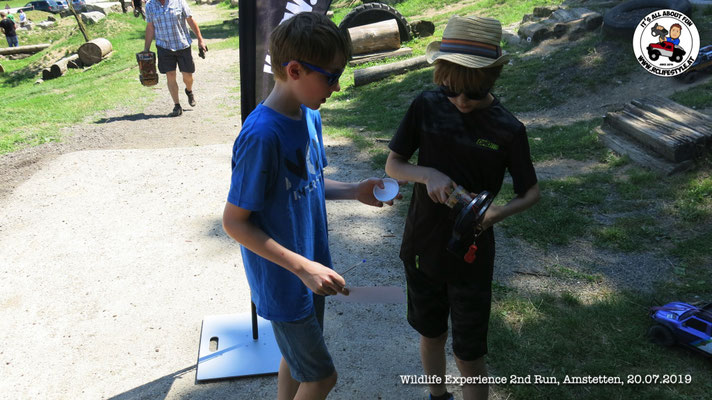 Wildlife Experience Amstetten 2019