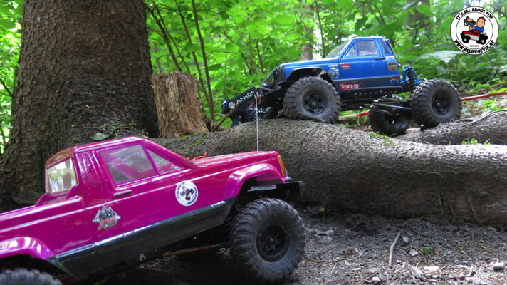 Wildlife Experience 2019, Lend, RC4WD