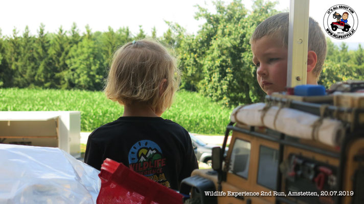 Wildlife Experience Amstetten 2019