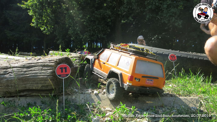Wildlife Experience Amstetten 2019