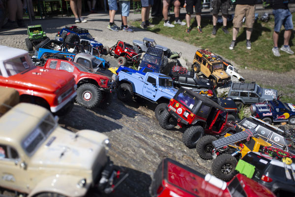 Wildlife Experience Amstetten 2019