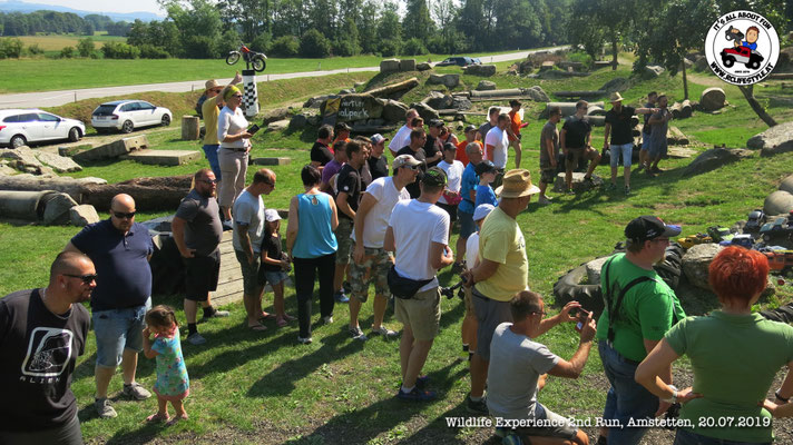 Wildlife Experience Amstetten 2019
