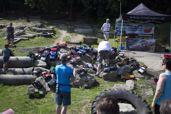 Wildlife Experience Amstetten 2019