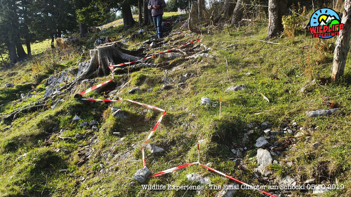 Wildlife Experience - Schöckl, The Final Chapter powered by RC4WD