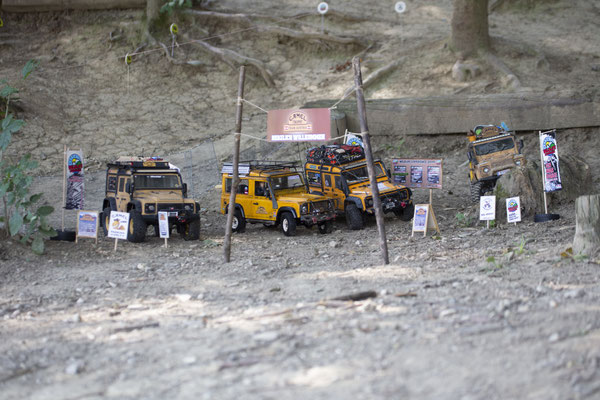 Wildlife Experience Amstetten 2019