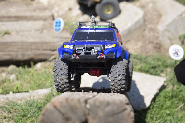 Wildlife Experience Amstetten 2019