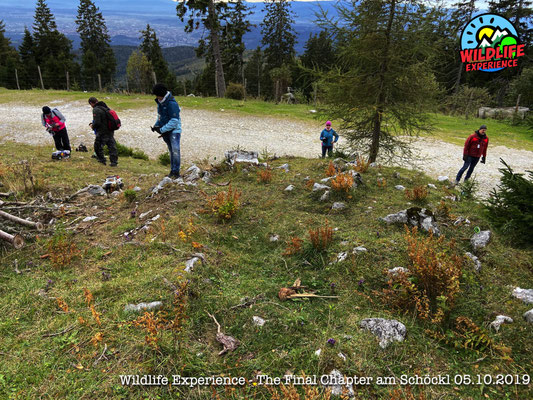 Wildlife Experience - Schöckl, The Final Chapter powered by RC4WD