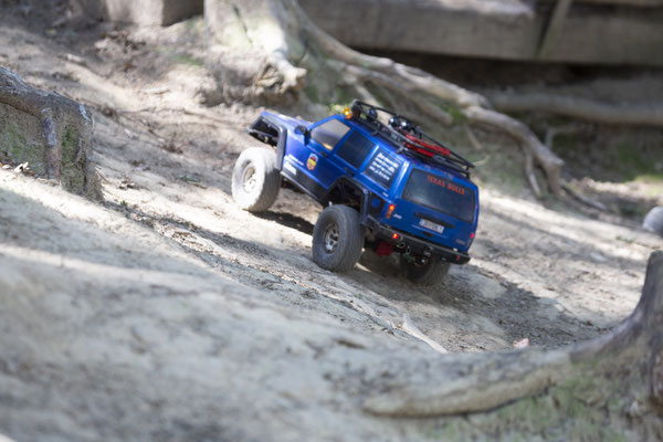 Wildlife Experience Amstetten 2019