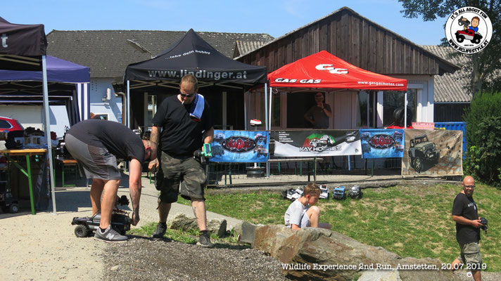 Wildlife Experience Amstetten 2019