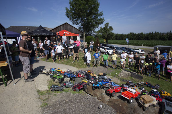 Wildlife Experience Amstetten 2019