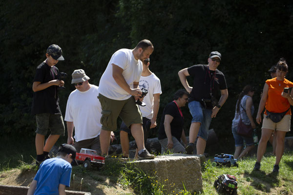 Wildlife Experience Amstetten 2019