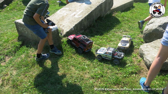 Wildlife Experience Amstetten 2019