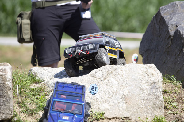 Wildlife Experience Amstetten 2019