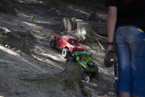 Wildlife Experience Amstetten 2019