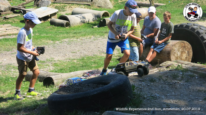 Wildlife Experience Amstetten 2019
