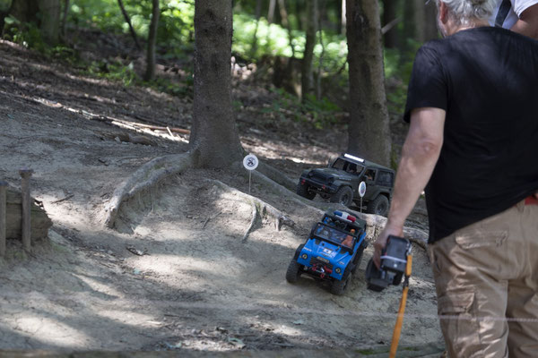 Wildlife Experience Amstetten 2019